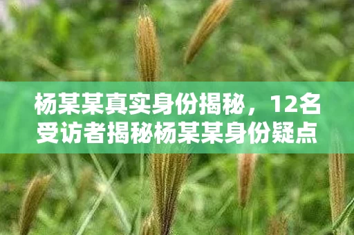 杨某某真实身份揭秘,12名受访者揭秘杨某某身份疑点,真相曝光后网友直呼绷不住! 杨某某真实身份揭秘,12名受访者揭秘杨某某身份疑点,真相曝光后网友直呼绷不住!