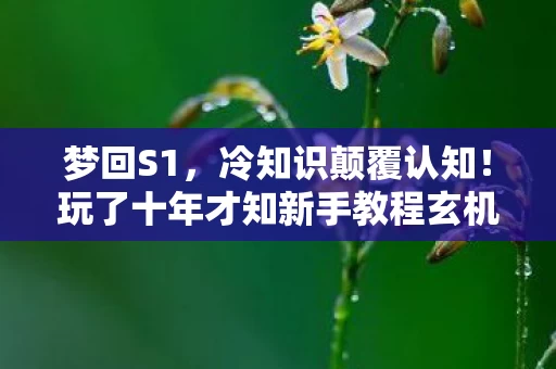 梦回S1,冷知识颠覆认知!玩了十年才知新手教程玄机,真让人目瞪口呆 梦回S1,冷知识颠覆认知!玩了十年才知新手教程玄机,真让人目瞪口呆