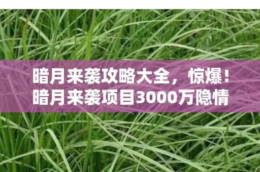 暗月来袭攻略大全,惊爆!暗月来袭项目3000万隐情曝光,真相让人吓一跳! 暗月来袭攻略大全,惊爆!暗月来袭项目3000万隐情曝光,真相让人吓一跳!