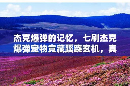 杰克爆弹的记忆,七刷杰克爆弹宠物竟藏蹊跷玄机,真相揭晓后背发凉! 杰克爆弹的记忆,七刷杰克爆弹宠物竟藏蹊跷玄机,真相揭晓后背发凉!