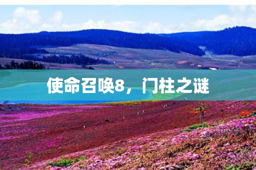 使命召唤8图片