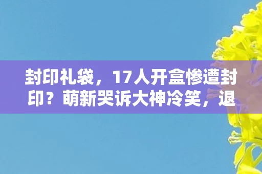 封印礼袋,17人开盒惨遭封印?萌新哭诉大神冷笑,退坑佬,这锅我不背! 封印礼袋,17人开盒惨遭封印?萌新哭诉大神冷笑,退坑佬,这锅我不背!
