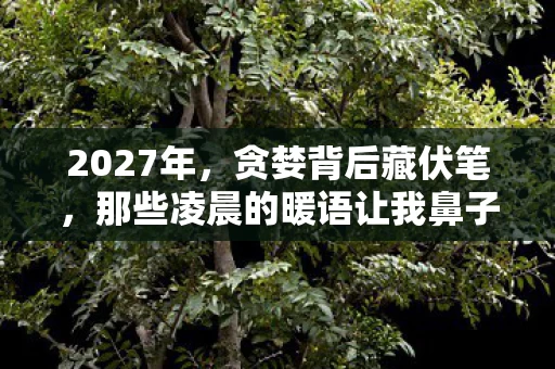 2027年,贪婪背后藏伏笔,那些凌晨的暖语让我鼻子一酸 2027年,贪婪背后藏伏笔,那些凌晨的暖语让我鼻子一酸