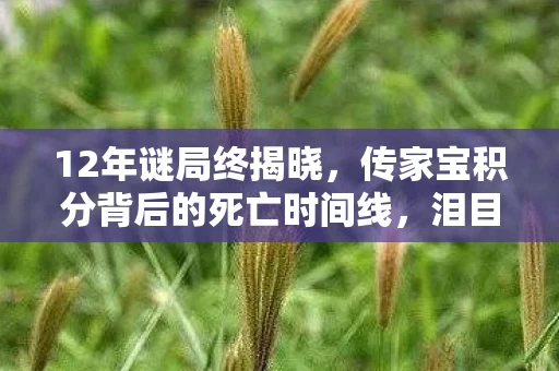 12年谜局终揭晓,传家宝积分背后的死亡时间线,泪目真相曝光 12年谜局终揭晓,传家宝积分背后的死亡时间线,泪目真相曝光