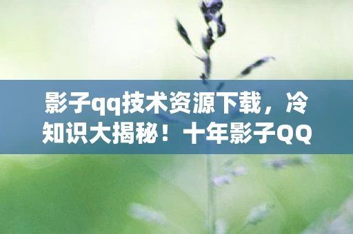 影子qq技术资源下载,冷知识大揭秘!十年影子QQ玩家竟被颠覆认知,目瞪口呆! 影子qq技术资源下载,冷知识大揭秘!十年影子QQ玩家竟被颠覆认知,目瞪口呆!