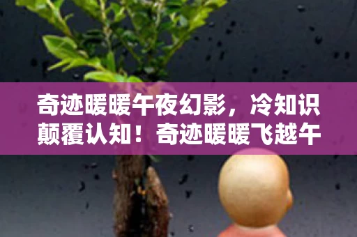 奇迹暖暖午夜幻影,冷知识颠覆认知!奇迹暖暖飞越午夜隐藏设定让你目瞪口呆 奇迹暖暖午夜幻影,冷知识颠覆认知!奇迹暖暖飞越午夜隐藏设定让你目瞪口呆