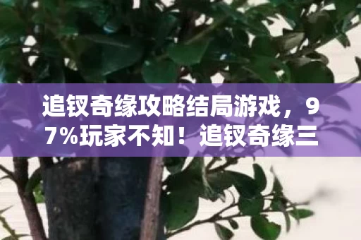 追钗奇缘攻略结局游戏,97%玩家不知!追钗奇缘三端操作差异竟让通关率差3倍! 追钗奇缘攻略结局游戏,97%玩家不知!追钗奇缘三端操作差异竟让通关率差3倍!
