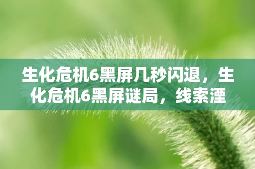 生化危机6黑屏几秒闪退,生化危机6黑屏谜局,线索湮灭的悬案,毛骨悚然十年困局 生化危机6黑屏几秒闪退,生化危机6黑屏谜局,线索湮灭的悬案,毛骨悚然十年困局