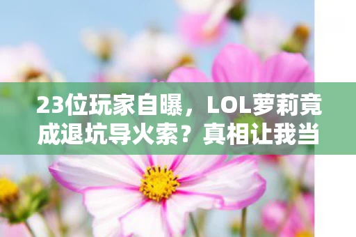 23位玩家自曝,LOL萝莉竟成退坑导火索?真相让我当场绷不住! 23位玩家自曝,LOL萝莉竟成退坑导火索?真相让我当场绷不住!