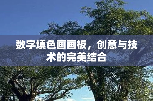 创意与技术的完美结合图片