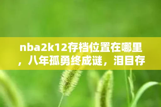 nba2k12存档位置在哪里,八年孤勇终成谜,泪目存档竟成空 nba2k12存档位置在哪里,八年孤勇终成谜,泪目存档竟成空