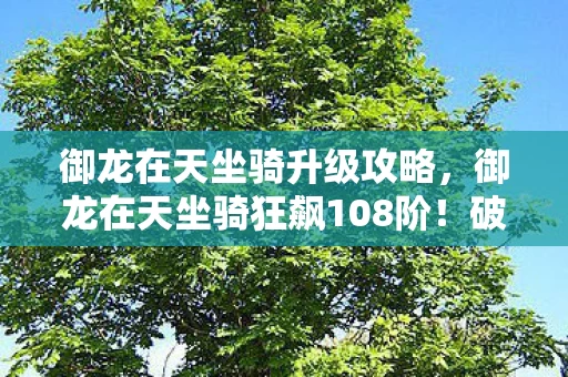 御龙在天坐骑升级攻略,御龙在天坐骑狂飙108阶!破圈联名周边让我连夜把家改造成龙穴! 御龙在天坐骑升级攻略,御龙在天坐骑狂飙108阶!破圈联名周边让我连夜把家改造成龙穴!