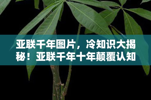亚联千年图片,冷知识大揭秘!亚联千年十年颠覆认知,真相让人目瞪口呆! 亚联千年图片,冷知识大揭秘!亚联千年十年颠覆认知,真相让人目瞪口呆!