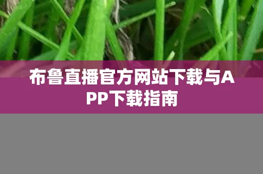 布鲁直播官方网站下载与APP下载指南图片
