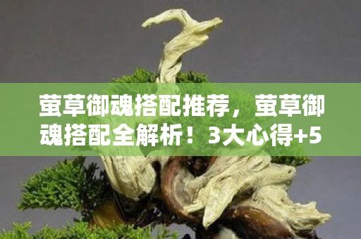 萤草御魂搭配推荐,萤草御魂搭配全解析!3大心得+5大避坑指南,助你战力飙升! 萤草御魂搭配推荐,萤草御魂搭配全解析!3大心得+5大避坑指南,助你战力飙升!