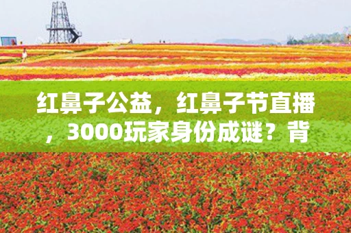 红鼻子公益,红鼻子节直播,3000玩家身份成谜?背后心酸故事谁人知! 红鼻子公益,红鼻子节直播,3000玩家身份成谜?背后心酸故事谁人知!