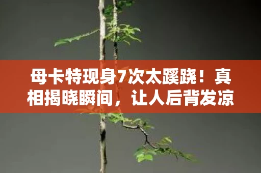 母卡特现身7次太蹊跷!真相揭晓瞬间,让人后背发凉! 母卡特现身7次太蹊跷!真相揭晓瞬间,让人后背发凉!