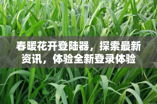 体验全新登录体验图片