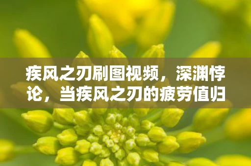 疾风之刃刷图视频,深渊悖论,当疾风之刃的疲劳值归零,我竟在虚拟中审判了整个人生 疾风之刃刷图视频,深渊悖论,当疾风之刃的疲劳值归零,我竟在虚拟中审判了整个人生