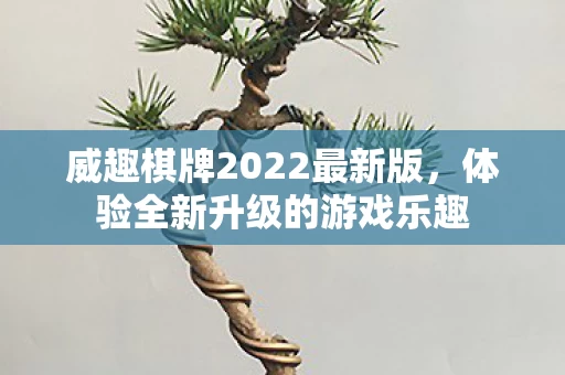 威趣棋牌2022最新版图片