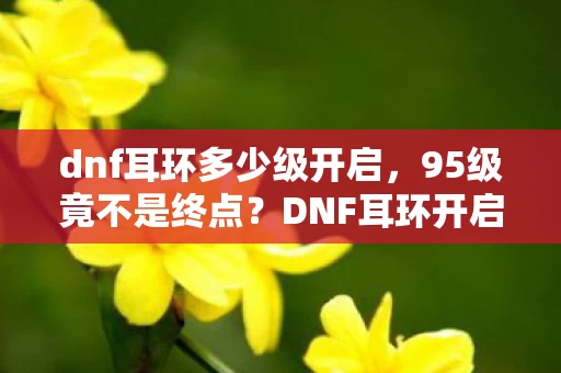dnf耳环多少级开启,95级竟不是终点?DNF耳环开启等级大反转,背后藏着什么秘密! dnf耳环多少级开启,95级竟不是终点?DNF耳环开启等级大反转,背后藏着什么秘密!