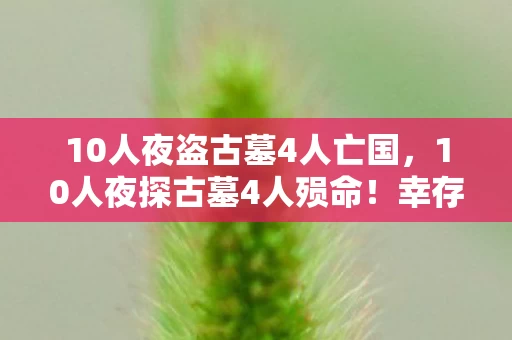 10人夜盗古墓4人亡国,10人夜探古墓4人殒命!幸存者亲述,玩了整整10年,这局我该不该退? 10人夜盗古墓4人亡国,10人夜探古墓4人殒命!幸存者亲述,玩了整整10年,这局我该不该退?