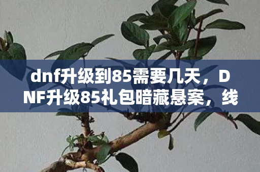 dnf升级到85需要几天,DNF升级85礼包暗藏悬案,线索交织,毛骨悚然真相待揭! dnf升级到85需要几天,DNF升级85礼包暗藏悬案,线索交织,毛骨悚然真相待揭!