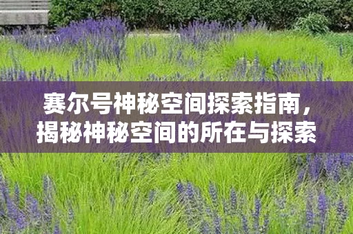 揭秘神秘空间的所在与探索资讯图片