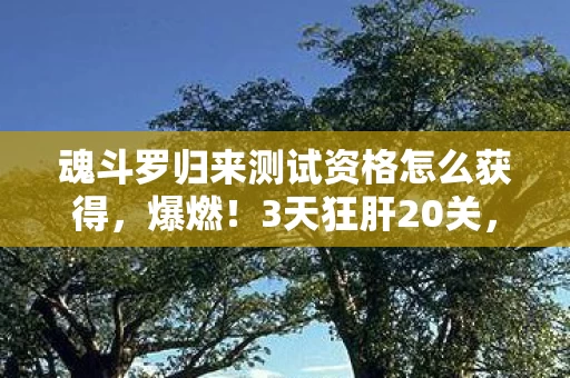 魂斗罗归来测试资格怎么获得,爆燃!3天狂肝20关,魂斗罗归来测试资格体验爽到飞起! 魂斗罗归来测试资格怎么获得,爆燃!3天狂肝20关,魂斗罗归来测试资格体验爽到飞起!