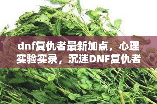 dnf复仇者最新加点,心理实验实录,沉迷DNF复仇者刷图,细思极恐的自我麻醉剂量表 dnf复仇者最新加点,心理实验实录,沉迷DNF复仇者刷图,细思极恐的自我麻醉剂量表