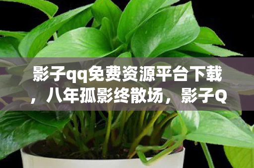 影子qq免费资源平台下载,八年孤影终散场,影子QQ免费资源平台关服谜题,泪目无声 影子qq免费资源平台下载,八年孤影终散场,影子QQ免费资源平台关服谜题,泪目无声