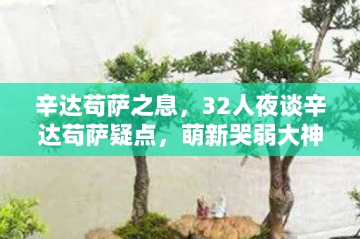 辛达苟萨之息,32人夜谈辛达苟萨疑点,萌新哭弱大神装死,退坑佬一句话我当场破防 辛达苟萨之息,32人夜谈辛达苟萨疑点,萌新哭弱大神装死,退坑佬一句话我当场破防