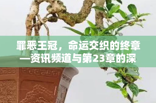 资讯频道与第23章的深度解读图片