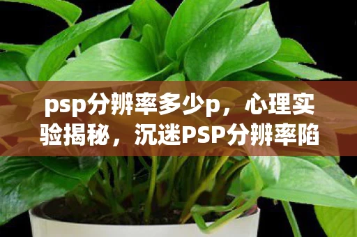 psp分辨率多少p,心理实验揭秘,沉迷PSP分辨率陷阱,细思极恐的自我囚禁 psp分辨率多少p,心理实验揭秘,沉迷PSP分辨率陷阱,细思极恐的自我囚禁