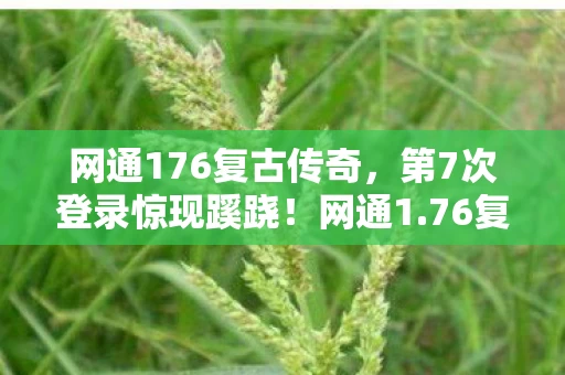 网通176复古传奇,第7次登录惊现蹊跷!网通1.76复古传奇背后,真相让人后背发凉 网通176复古传奇,第7次登录惊现蹊跷!网通1.76复古传奇背后,真相让人后背发凉