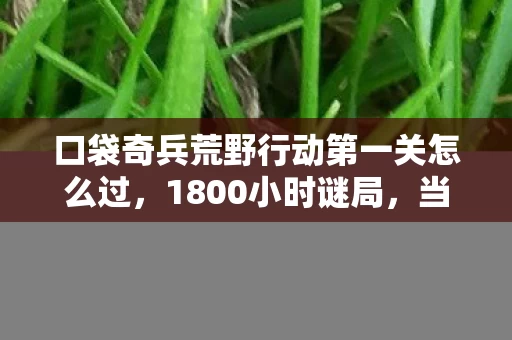 口袋奇兵荒野行动第一关怎么过,1800小时谜局,当荒野行动的验尸报告撞上开发者醉语,泪目真相 口袋奇兵荒野行动第一关怎么过,1800小时谜局,当荒野行动的验尸报告撞上开发者醉语,泪目真相