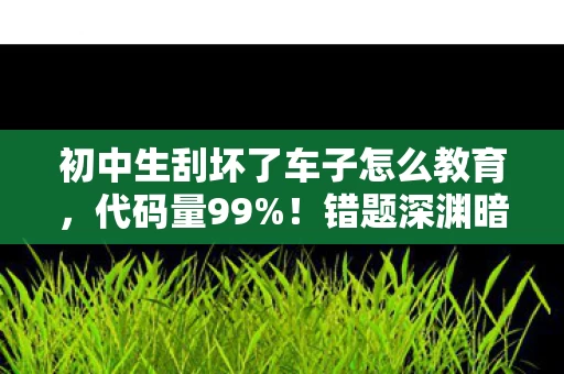 初中生刮坏了车子怎么教育,代码量99%!错题深渊暗线启动,当惩罚成为数据生命的头皮发麻进化论 初中生刮坏了车子怎么教育,代码量99%!错题深渊暗线启动,当惩罚成为数据生命的头皮发麻进化论
