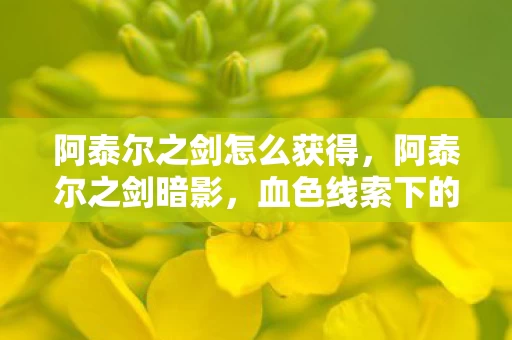 阿泰尔之剑怎么获得,阿泰尔之剑暗影,血色线索下的悬案,毛骨悚然真相待揭 阿泰尔之剑怎么获得,阿泰尔之剑暗影,血色线索下的悬案,毛骨悚然真相待揭