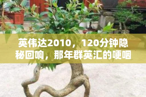 英伟达2010,120分钟隐秘回响,那年群英汇的哽咽,是青春在显卡里烧干的余温 英伟达2010,120分钟隐秘回响,那年群英汇的哽咽,是青春在显卡里烧干的余温
