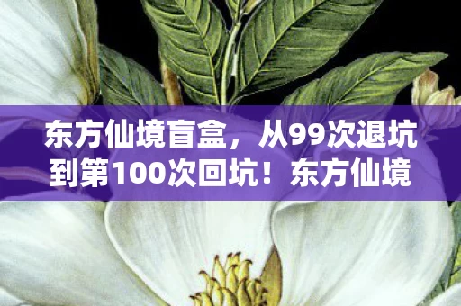 东方仙境盲盒,从99次退坑到第100次回坑!东方仙境究竟藏着什么致命诱惑? 东方仙境盲盒,从99次退坑到第100次回坑!东方仙境究竟藏着什么致命诱惑?