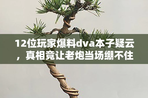 12位玩家爆料dva本子疑云,真相竟让老炮当场绷不住! 12位玩家爆料dva本子疑云,真相竟让老炮当场绷不住!
