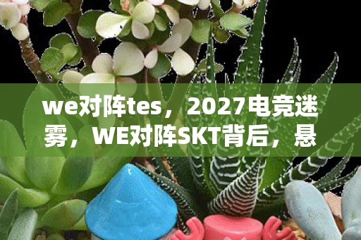 we对阵tes,2027电竞迷雾,WE对阵SKT背后,悬案迭起,毛骨悚然真相待揭 we对阵tes,2027电竞迷雾,WE对阵SKT背后,悬案迭起,毛骨悚然真相待揭