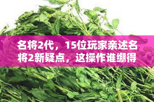 名将2代,15位玩家亲述名将2新疑点,这操作谁绷得住啊? 名将2代,15位玩家亲述名将2新疑点,这操作谁绷得住啊?