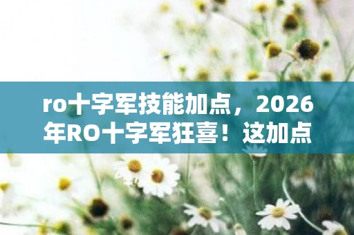 ro十字军技能加点,2026年RO十字军狂喜!这加点竟藏着惊天逆袭密码? ro十字军技能加点,2026年RO十字军狂喜!这加点竟藏着惊天逆袭密码?