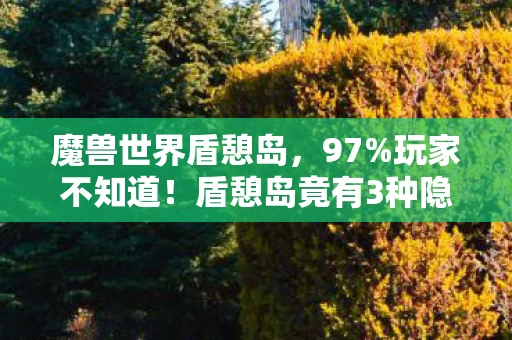 魔兽世界盾憩岛,97%玩家不知道!盾憩岛竟有3种隐藏走法,主机党哭晕在厕所 魔兽世界盾憩岛,97%玩家不知道!盾憩岛竟有3种隐藏走法,主机党哭晕在厕所