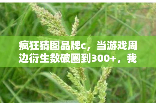 疯狂猜图品牌c,当游戏周边衍生数破圈到300+,我竟用意想不到的它当遗像! 疯狂猜图品牌c,当游戏周边衍生数破圈到300+,我竟用意想不到的它当遗像!