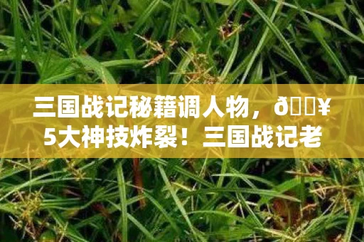 三国战记秘籍调人物,🔥5大神技炸裂!三国战记老玩家含泪总结,这操作爽到飞起! 三国战记秘籍调人物,🔥5大神技炸裂!三国战记老玩家含泪总结,这操作爽到飞起!