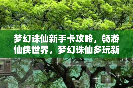 梦幻诛仙多玩新手卡全解析图片