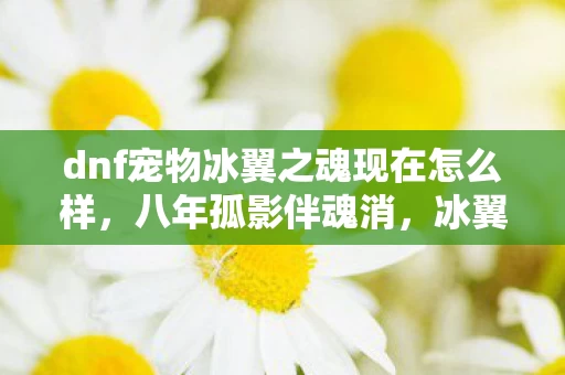 dnf宠物冰翼之魂现在怎么样,八年孤影伴魂消,冰翼谜踪终落幕,泪目无声 dnf宠物冰翼之魂现在怎么样,八年孤影伴魂消,冰翼谜踪终落幕,泪目无声