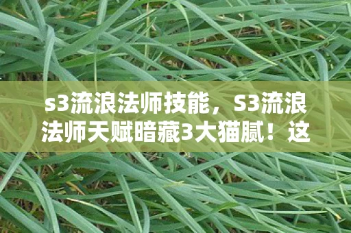 s3流浪法师技能,S3流浪法师天赋暗藏3大猫腻!这波创新让我直接上头到卸载 s3流浪法师技能,S3流浪法师天赋暗藏3大猫腻!这波创新让我直接上头到卸载